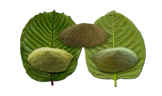 Informatie over kratom