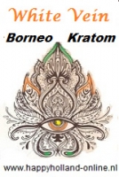 Borneo White Vein Kratom - Mitragyna Speciosa