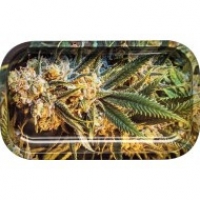 Weed Rolling Tray