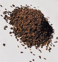 Syrian Rue - Peganum harmala seeds (20 gram)