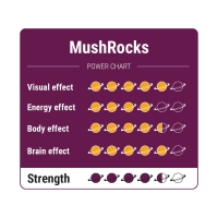 MushRocks truffels