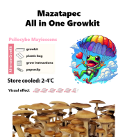 Mazatapec Growkit