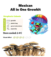 Mexican Mushroom Growkit