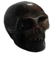 Schedel Granaatsteen