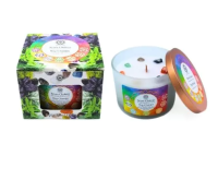 Edelsteenkaars - 7 Chakra's - Nag Champa