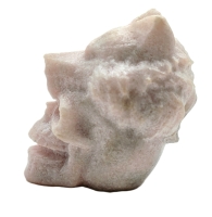 Schedel met Wolf Rozenkwarts